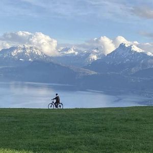 免费搭建小驴导航
