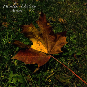 免费搭建小驴导航
